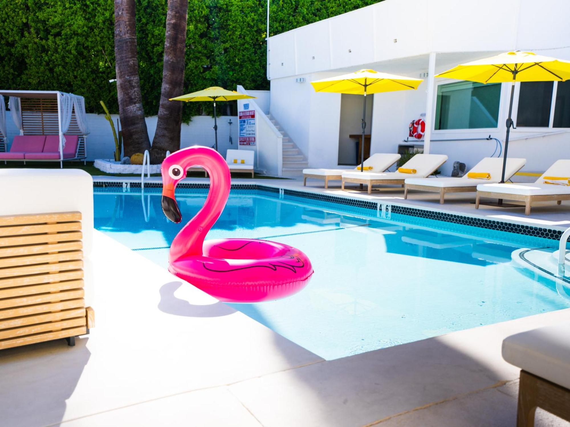 The Cactai Otel Palm Springs Dış mekan fotoğraf
